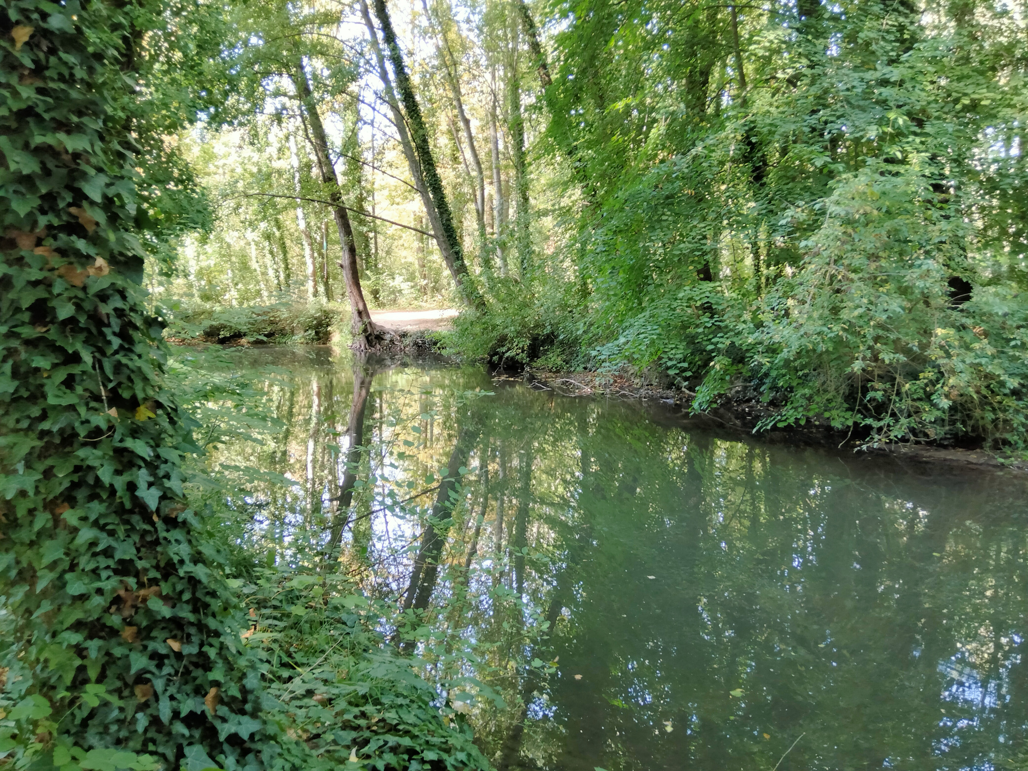 Maison à vendre à Augerville la riviere, 178 m², 6 pièces – photo 3 sur 18