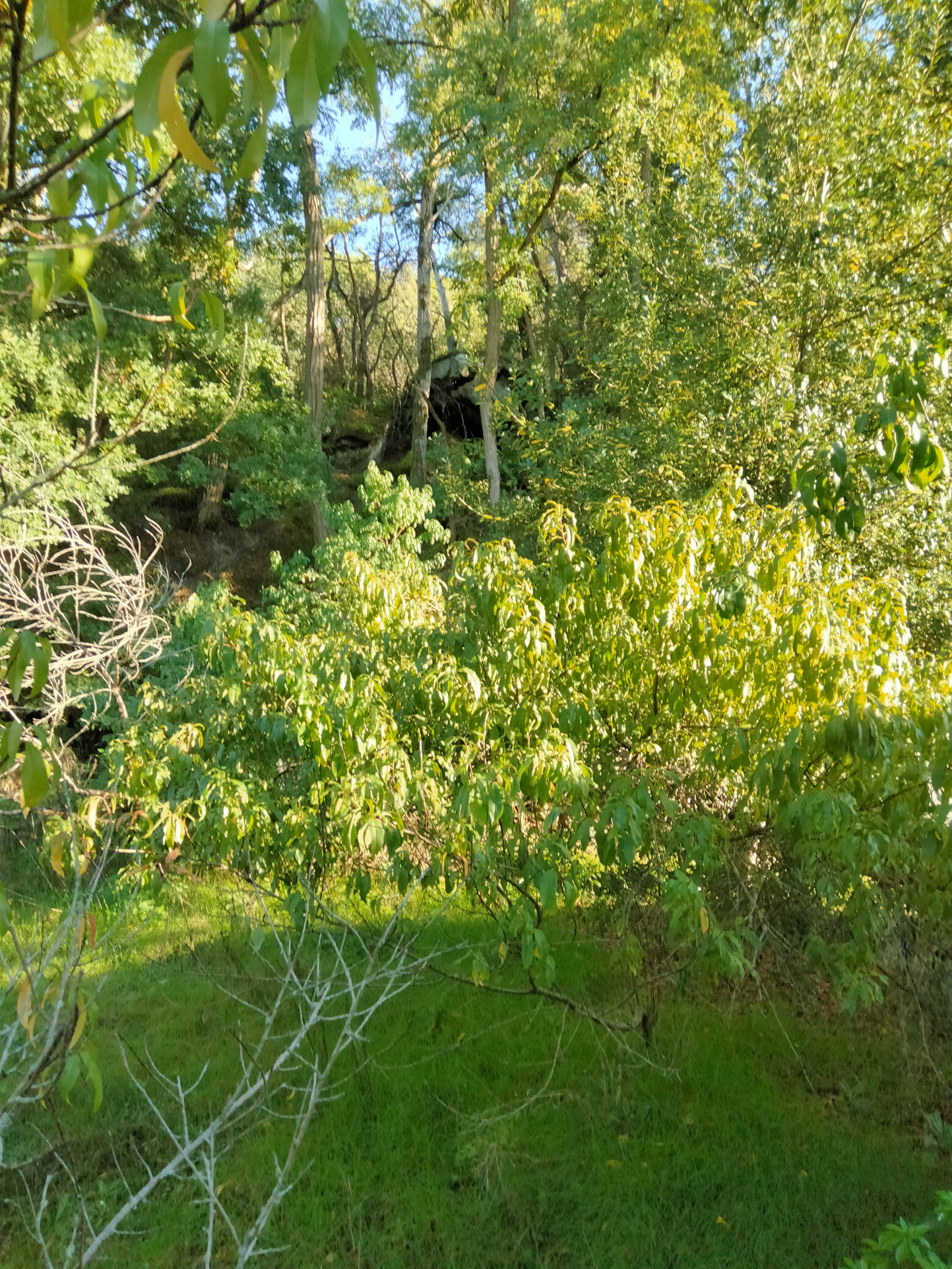 Terrain constructible à vendre à Buthiers, 1 521 m² – photo 3 sur 5