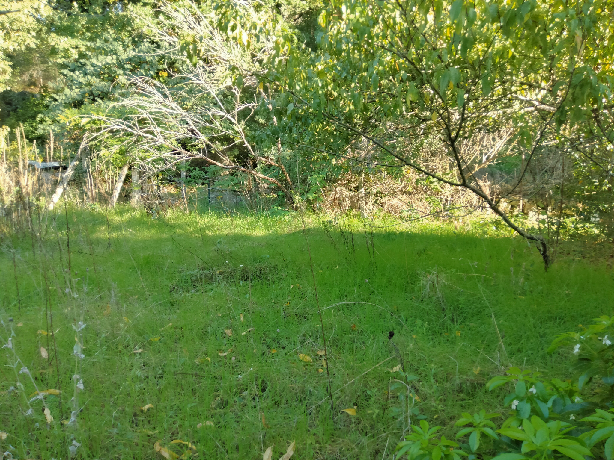 Terrain constructible à vendre à Buthiers, 1 521 m² – photo 2 sur 5